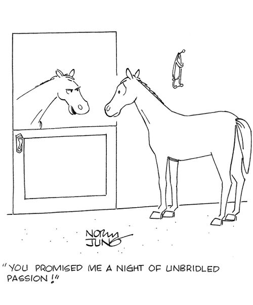 'You promised me a night of unbridled passion!'