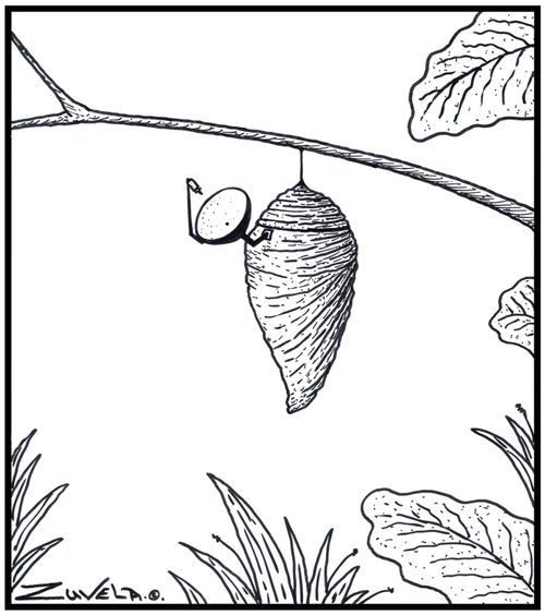  A Pupa in a Cocoon with a Satellite dish attached to it.