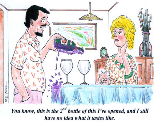 'You know, this is the 2nd bottle of this I've opened, and I still have no idea what it tastes like.'