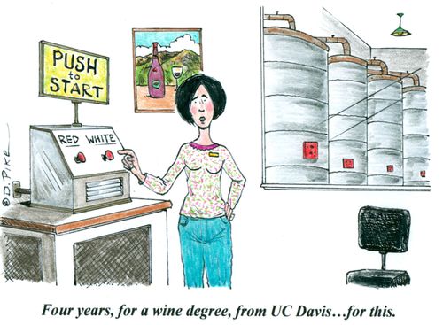 'Four years, for a wine degree, from UC Davis...for this.'