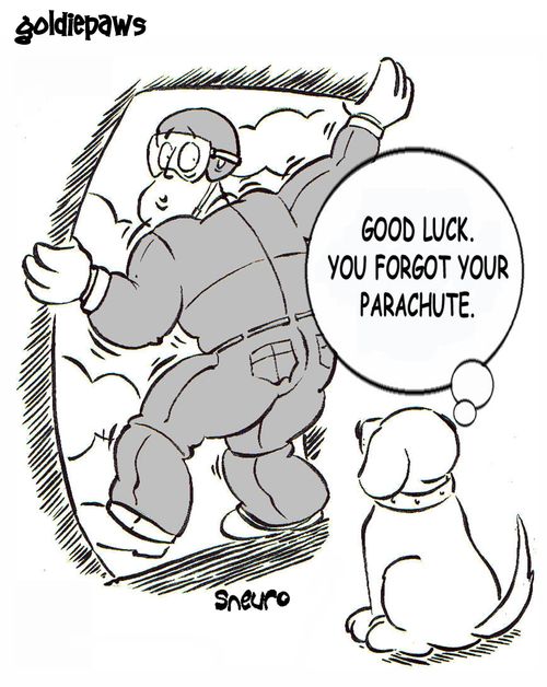 Good luck. You forgot your parachute.