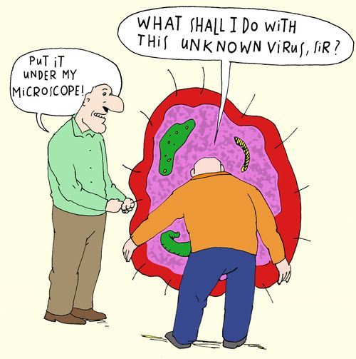 'Put it under my microscope!'