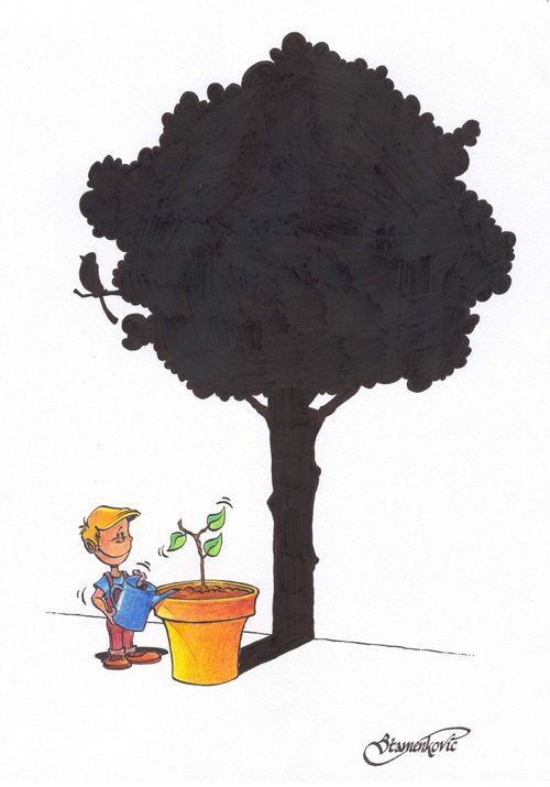 Boy's plant with the shadow of a tree.