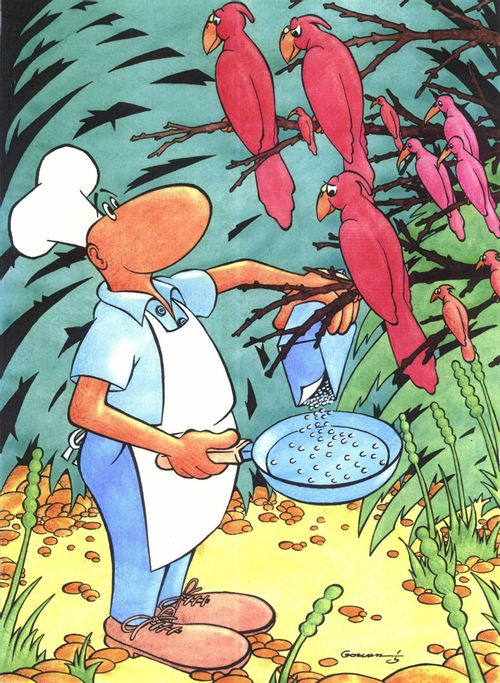 Chef trying to tempt birds into his frying pan