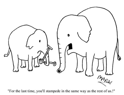 "For the last time, you'll stampede in the same way as the rest of us."