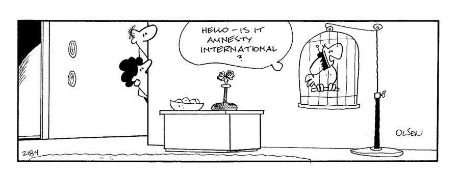 "Hello - is it Amnesty International?"