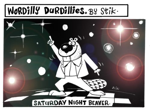 Wordilly Durdillies - Saturday night beaver
