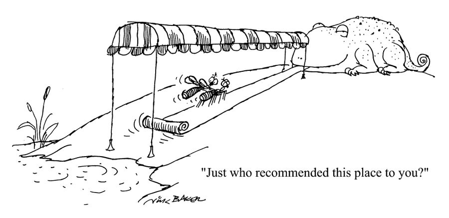 "Just who recommended this place to you?"