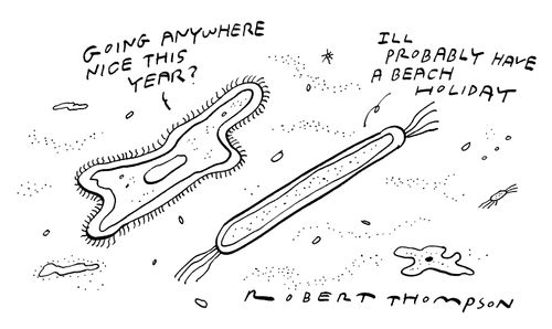 Bacteria - "Going anywhere nice this year?" - "I'll probably have a beach holiday."