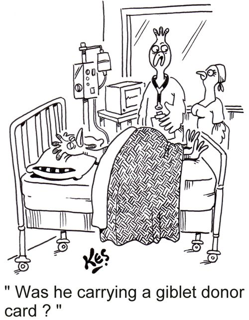 'Was he carrying a giblet donor card?'