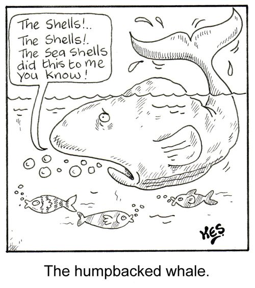 The humpbacked whale.