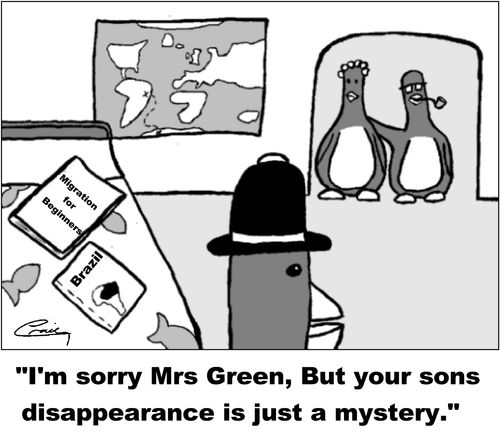 'I'm sorry Mrs Green, but your sons disappearance is just a mystery.'