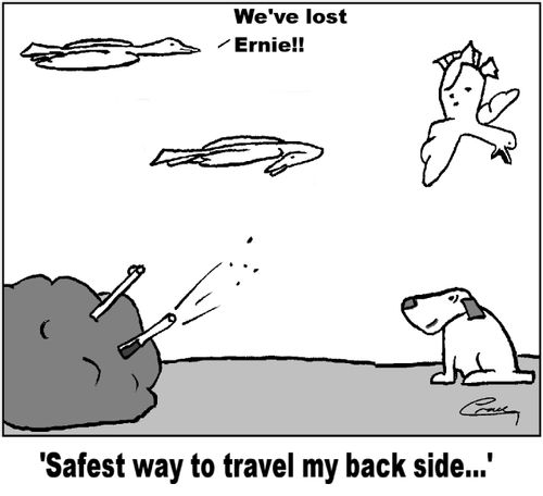 'Safest way to travel my back side