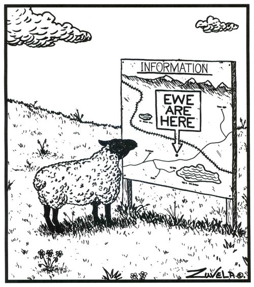 Information: EWE ARE HERE.