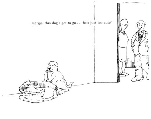 'Margie, this dog's got to go, he's just too cute!'