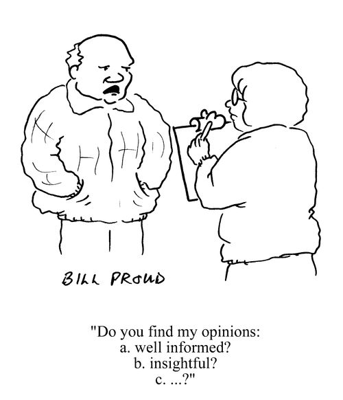 'Do you find my opinions: a) well informed? b) insightful? c) ...?'