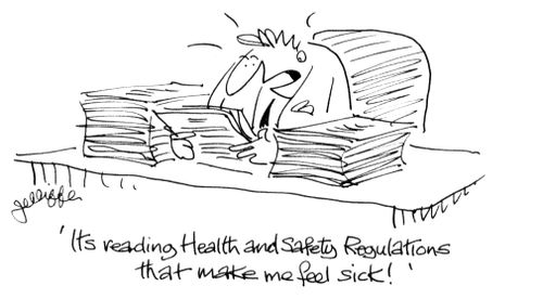 'Its reading Health and Safety Regulations that make me feel sick!'