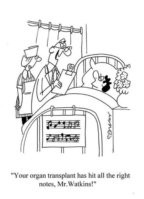 'Your organ transplant has hit the all the right notes,Mr.Watkins!'