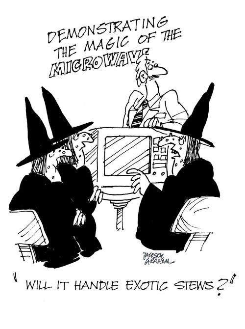 The Magic of Microwaves: "Will it handle exotic stews?"