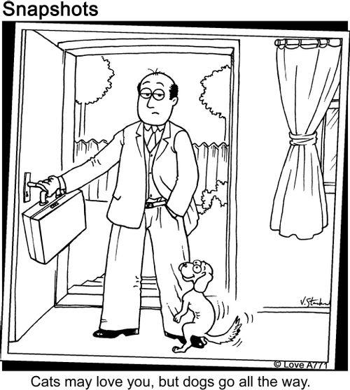 Cats may love you, but dogs go all the way.