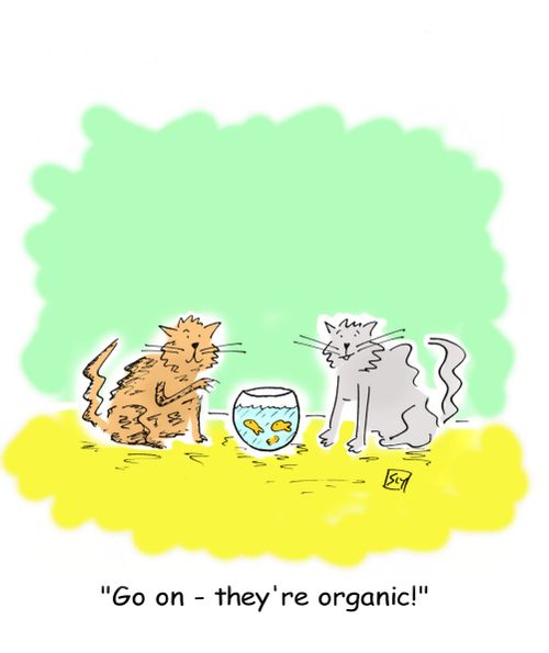 "Go on - they're organic!"