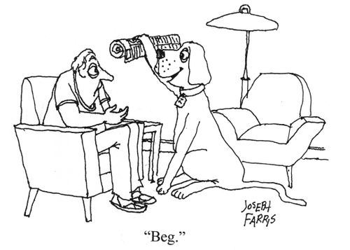 'Beg.'