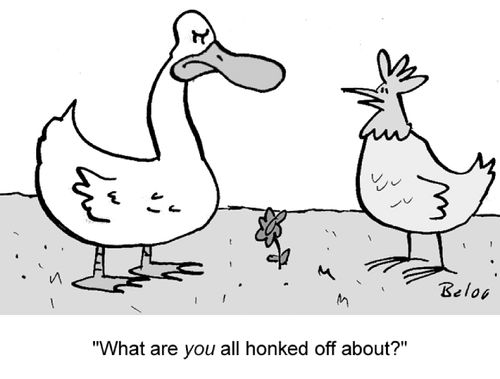 'What are you all honked off about?'