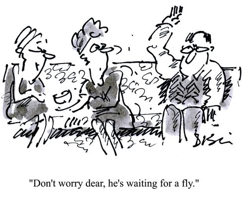 'Don't worry dear, he's waiting for a fly.'