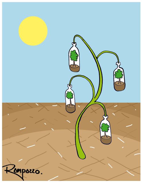 Bottletrees.