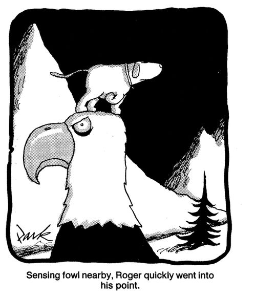 Sensing fowl nearby, Roger quickly went into his point.