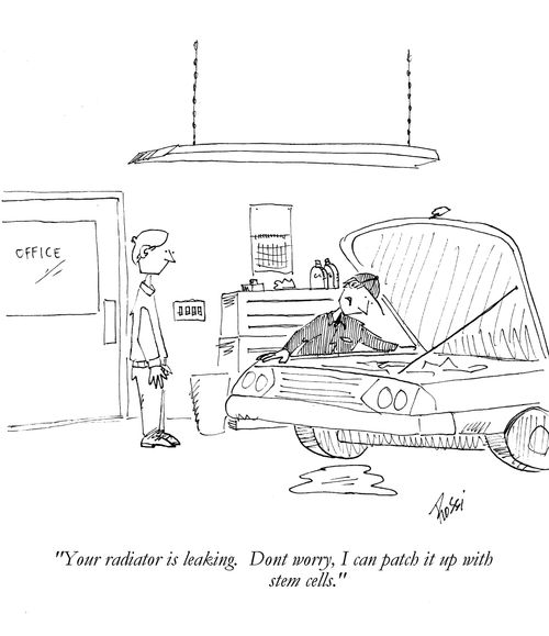 'Your radiator is leaking. Don't worry, I can patch it up with stem cells.'