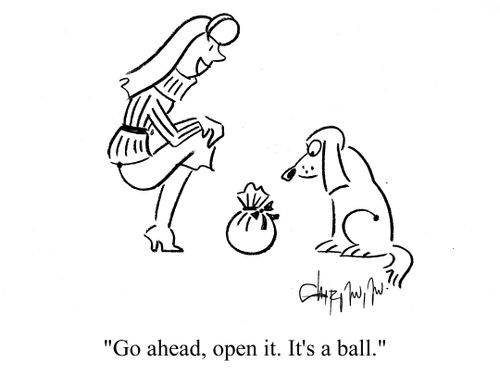 'Go ahead, open it. It's a ball.'