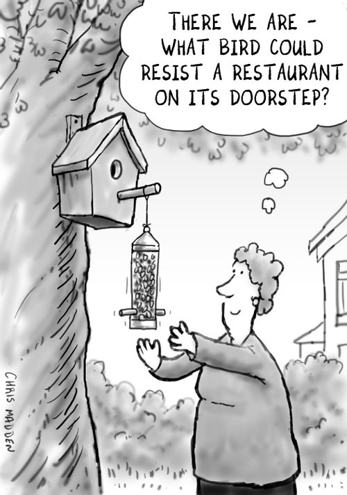 'There we are - what bird could resist a restaurant on its doorstep.'