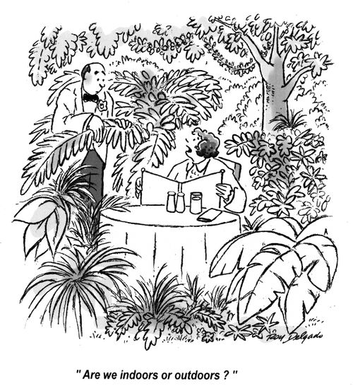 'Are we indoors or outdoors?'
