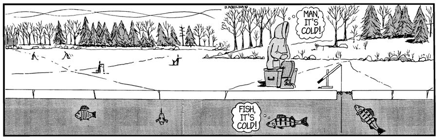 Man, it's cold!  Fish, it's cold!