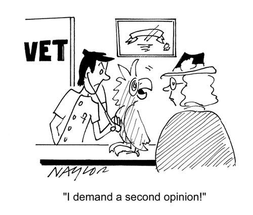 'I demand a second opinion!'