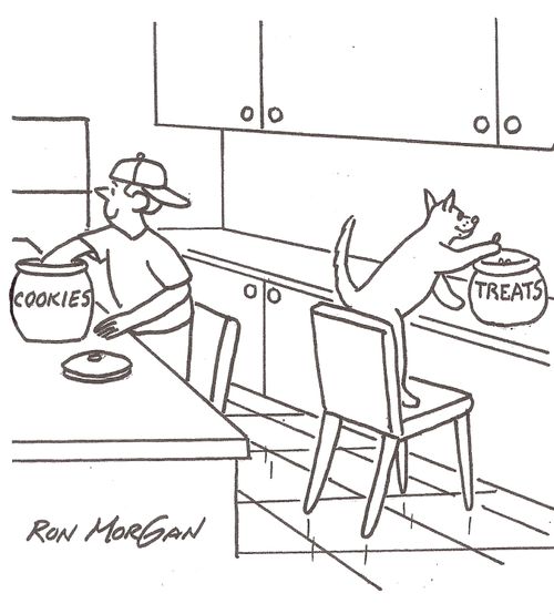 Boy get cookies while dog gets treats.