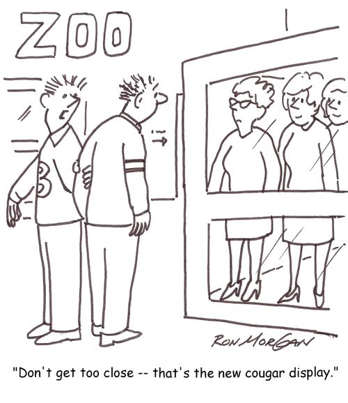 'Don't get too close -- that's the new cougar display.'