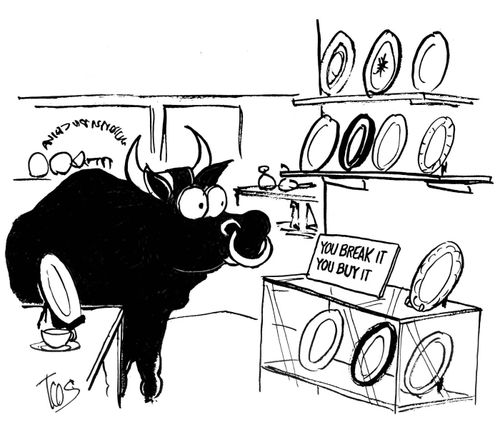 Bull in a China Shop: You break it, you buy it,