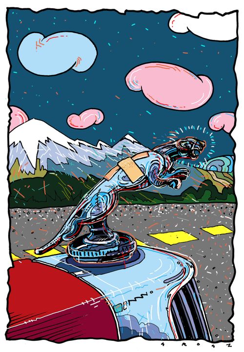 Jaguar on a bonnet with a plaster on its back.