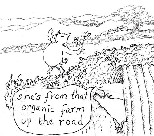 'She's from that organic farm up the road.'