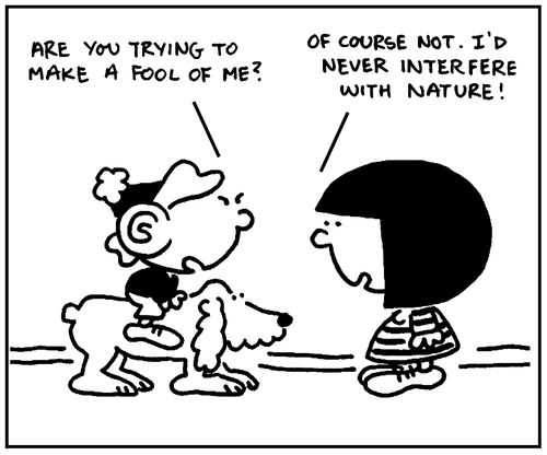 'Are you trying to make a fool of me?' - 'Of course not. I'd never interfere with nature.'