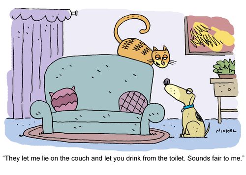 "They let me lie on the couch and let you drink from the toilet. Sounds fair to me."
