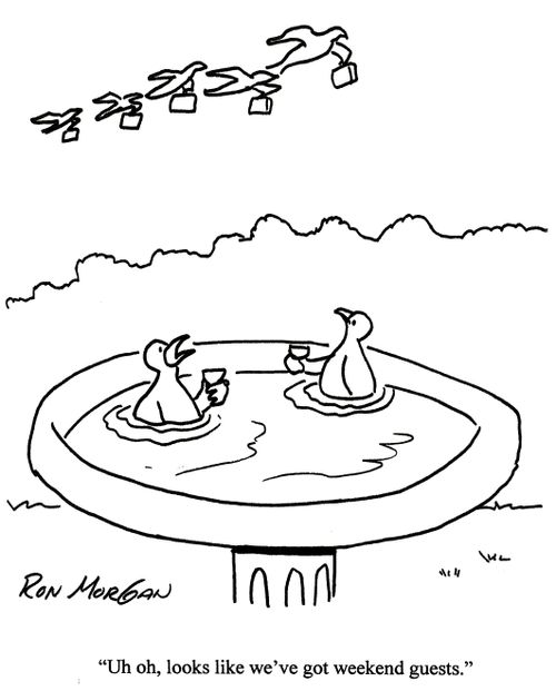 'Uh oh, looks like we've got weekend guests.'