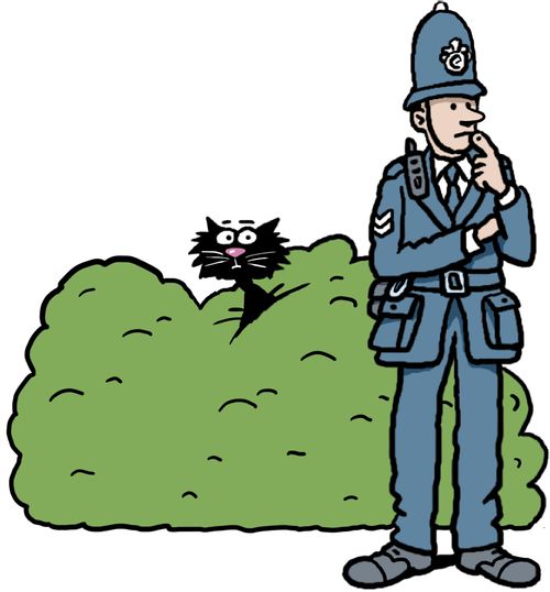 A British policeman looking for a black cat who is in the hedge behind him.