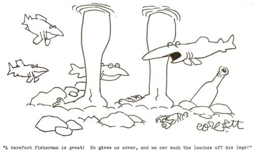 'A barefoot fisherman is great!  He gives us cover, and we can suck the leeches off his legs!'