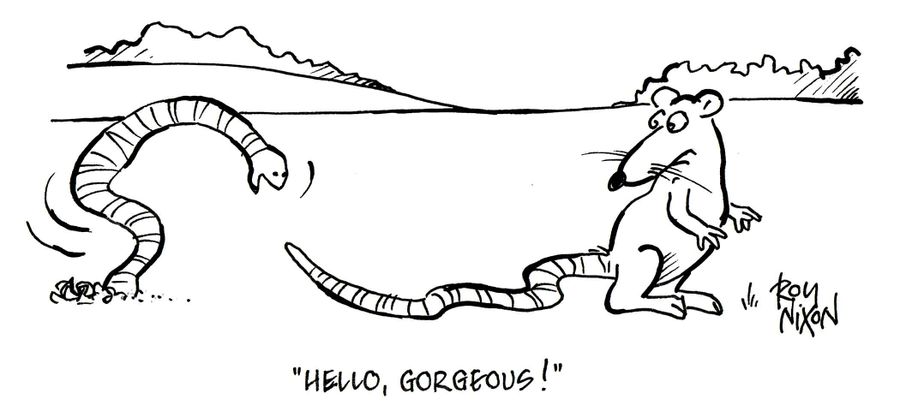 'Hello, gorgeous!'