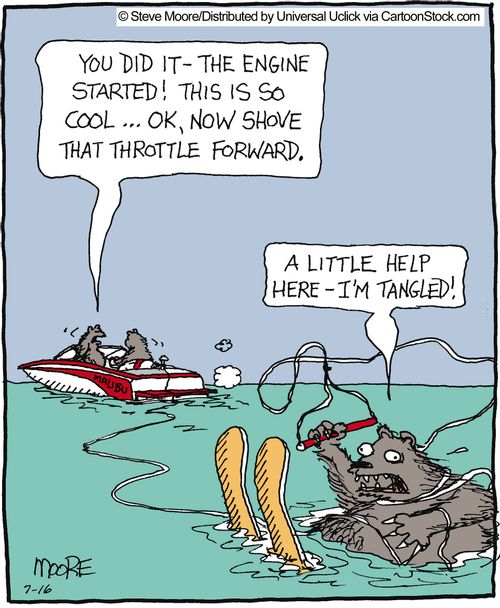 Bears going water skiing.