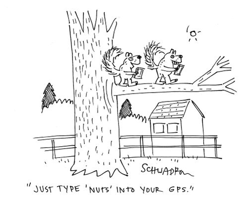 'Just type 'nuts' into your GPS.'