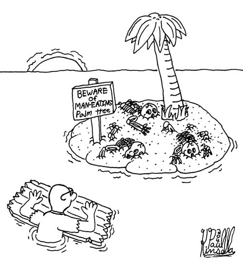 BEWARE of man-eating palm tree.